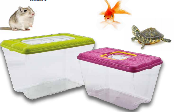 Acquariologia Accessori Acquari & Vasche – Acquario In Plastica Diamantata  Mis. 2 (cm 21,5×13,5×14)Lt.2.7 Azzurro – Pet Fashion s.r.l.s.