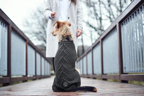 -Abbigliamento & Accessori - Hunter Maglioncino Pullover per Cani MALMÖ Antracite Cm.25